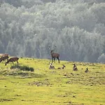 Fewo-eifel-morsbach Schleiden