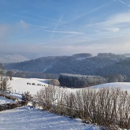 Fewo-eifel-morsbach Lejlighed