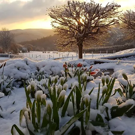 Fewo-eifel-morsbach Lejlighed