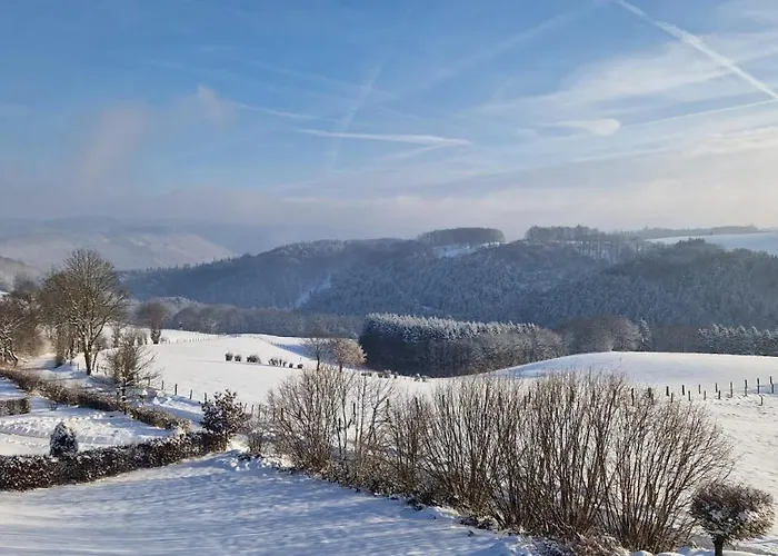 Fewo-eifel-morsbach Apartamento