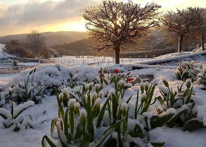 Fewo-eifel-morsbach Апартаменты