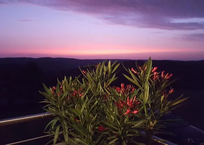 Fewo-eifel-morsbach *